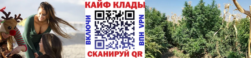 Сколько стоит Магас Марихуана  Кокаин  ГАШИШ  Мефедрон 